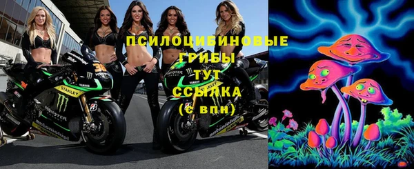 прущий лед Алексин